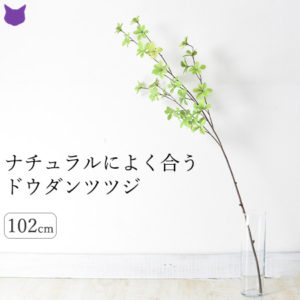 ドウダンツツジ