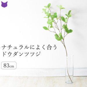 ドウダンツツジ