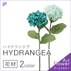 アジサイ,紫陽花,ハイドランジア