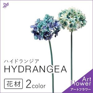 紫陽花、ハイドランジア